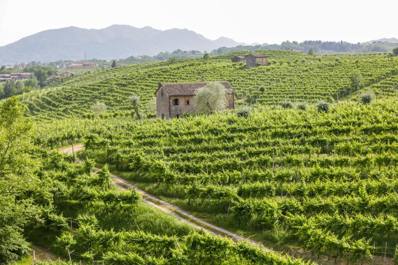 Agriturismo Il Follo 발도비아데네 외부 사진